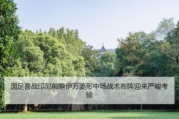 国足客战印尼前瞻伊万菱形中场战术布阵迎来严峻考验